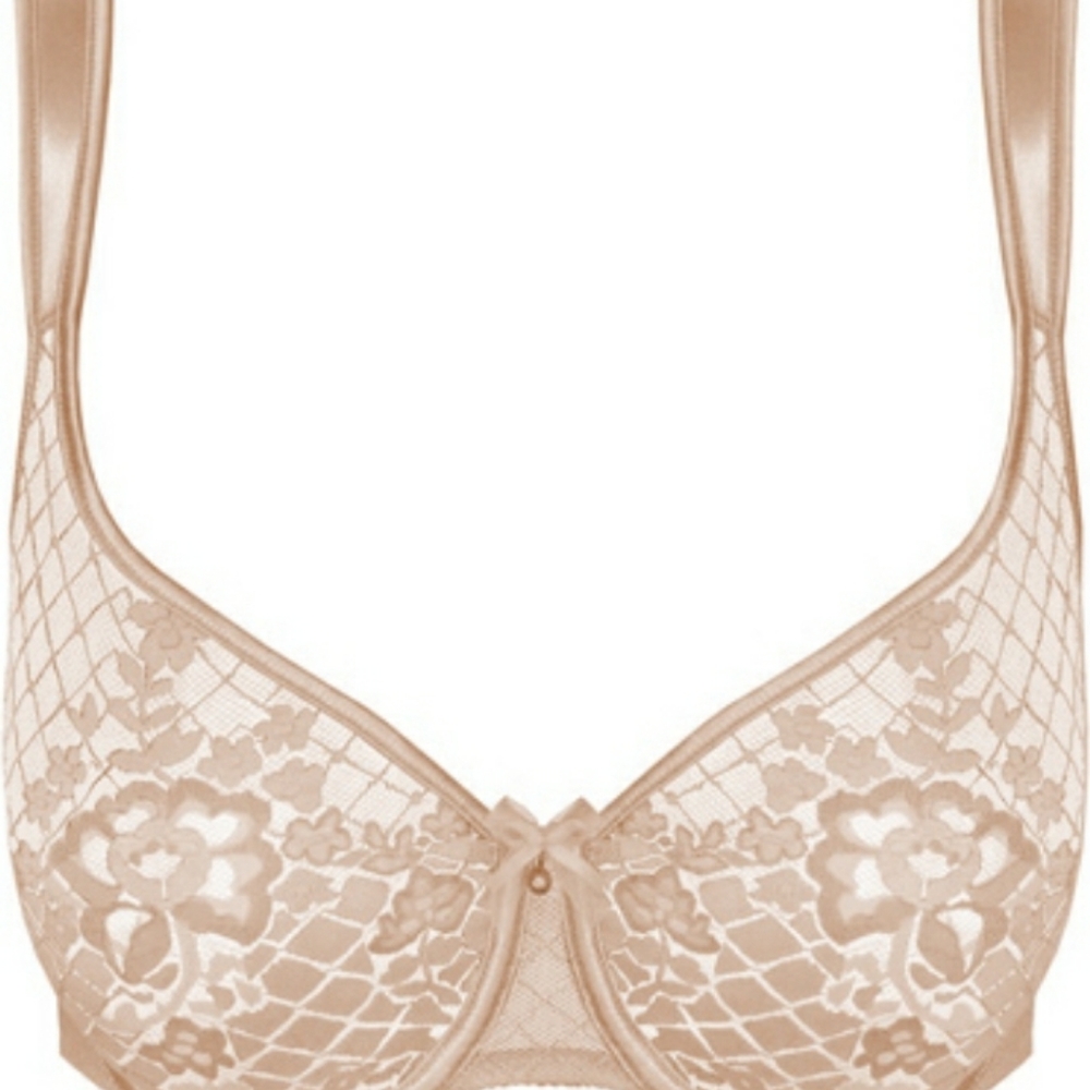 Elegant Lace Bra in Nude